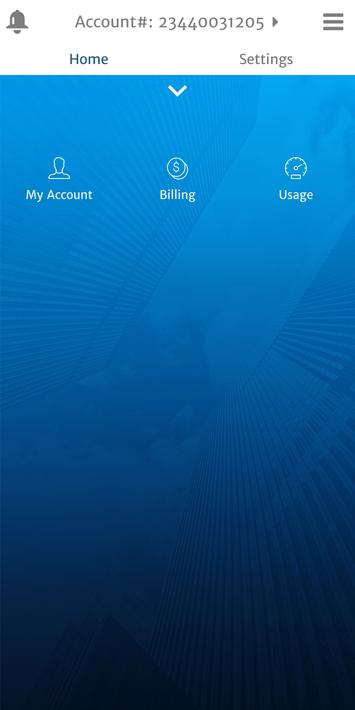 Bihar Bijli Smart Meter