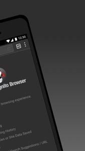 Puffin Incognito Browser