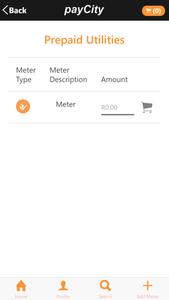 payCity.co.za