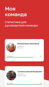 Магнит Магнум