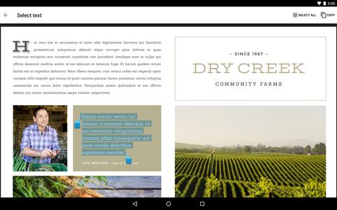 Google PDF Viewer