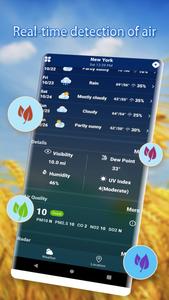 Weather