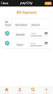 payCity.co.za