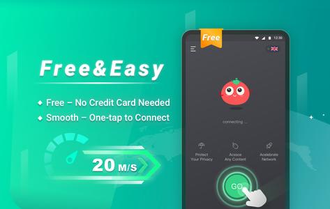 Tomato VPN | VPN Proxy