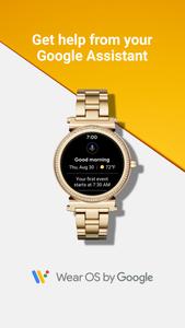 Wear OS by Google Smartwatch