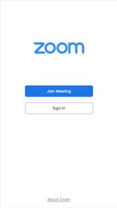 Zoom