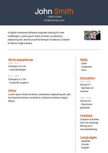 Curriculum Vitae