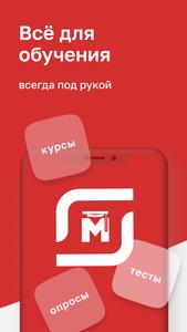 Магнит Магнум