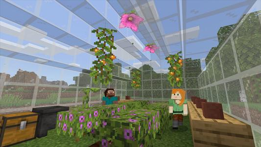 Minecraft: Education Preview