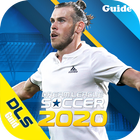 Guide for Dream Winner Soccer 2020