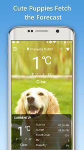 Weather