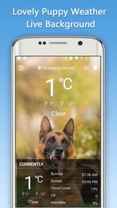 Weather