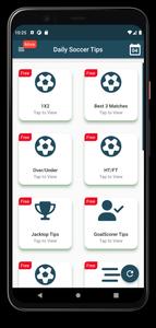 Soccer Daily Tips