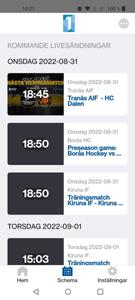 Hockeyettan Play