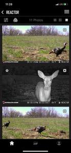 Stealth Cam COMMAND PRO