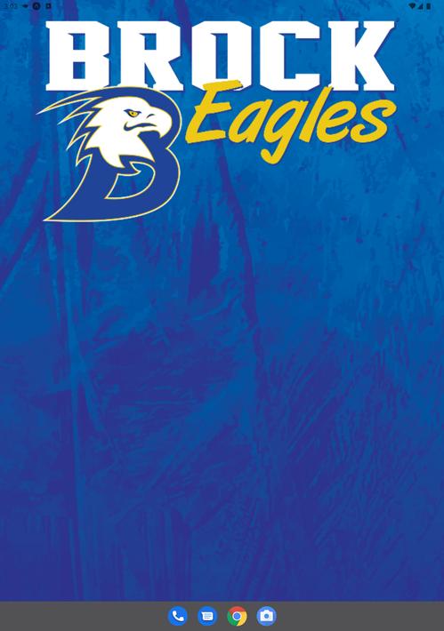 Brock Eagles Athletics