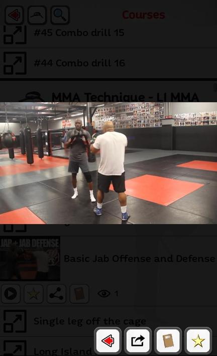 Martial Arts