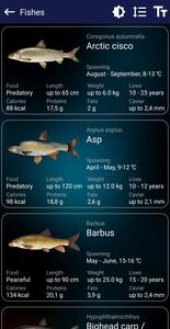 Fishing forecast
