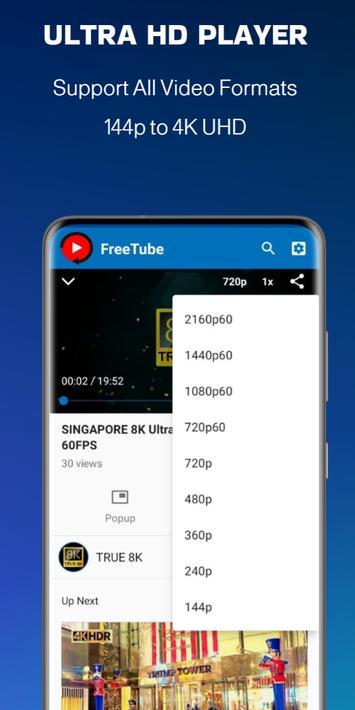 FreeTube