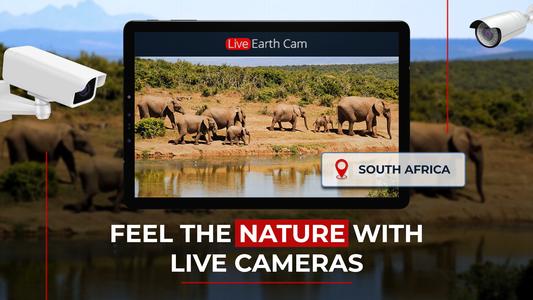 Live Camera: Earth Webcam