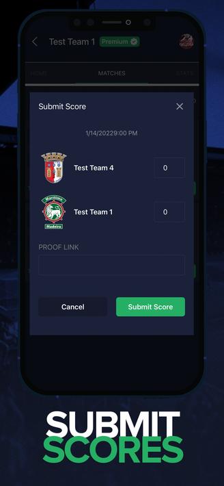 Virtual Pro Gaming