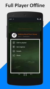 Full Player Music Offline