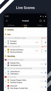 Bee Sports