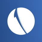 OneCricket