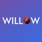 Willow