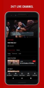 UFC