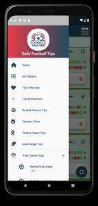 Soccer Daily Tips