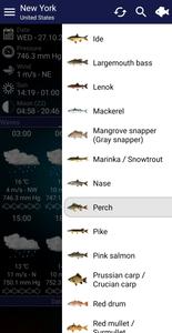 Fishing forecast