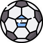 Futbol Argentino Online