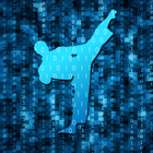 Cyber TKD