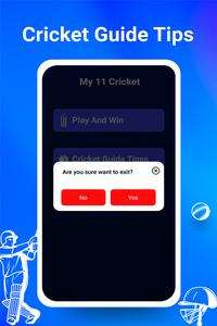 Cricket Guide Tips Information