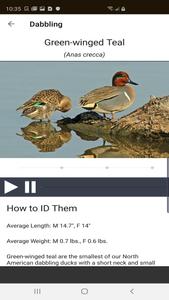 Ducks Unlimited