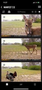 Stealth Cam COMMAND PRO
