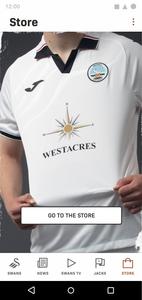 Swansea City
