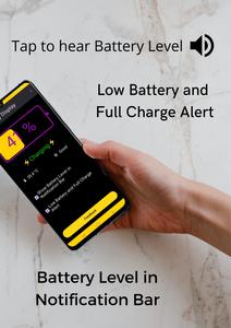 Big Battery Display