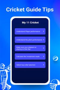 Cricket Guide Tips Information