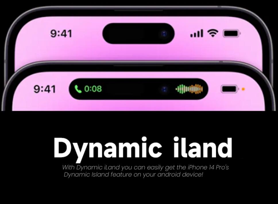 Dynamic iLand