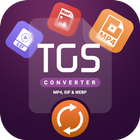 TGS Converter: MP4, GIF & Webp