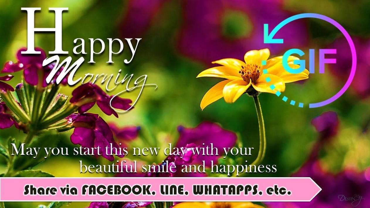 Good Morning Gif Wish Messages