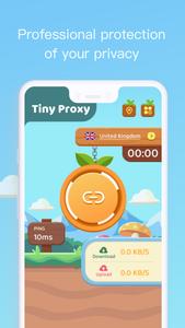Tiny Proxy—Secure&Private