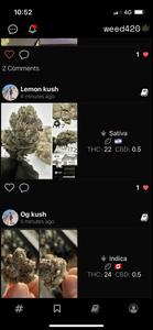 weed420