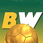 Betwinner: Staying Motivated
