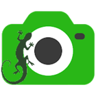 Gecko Camera