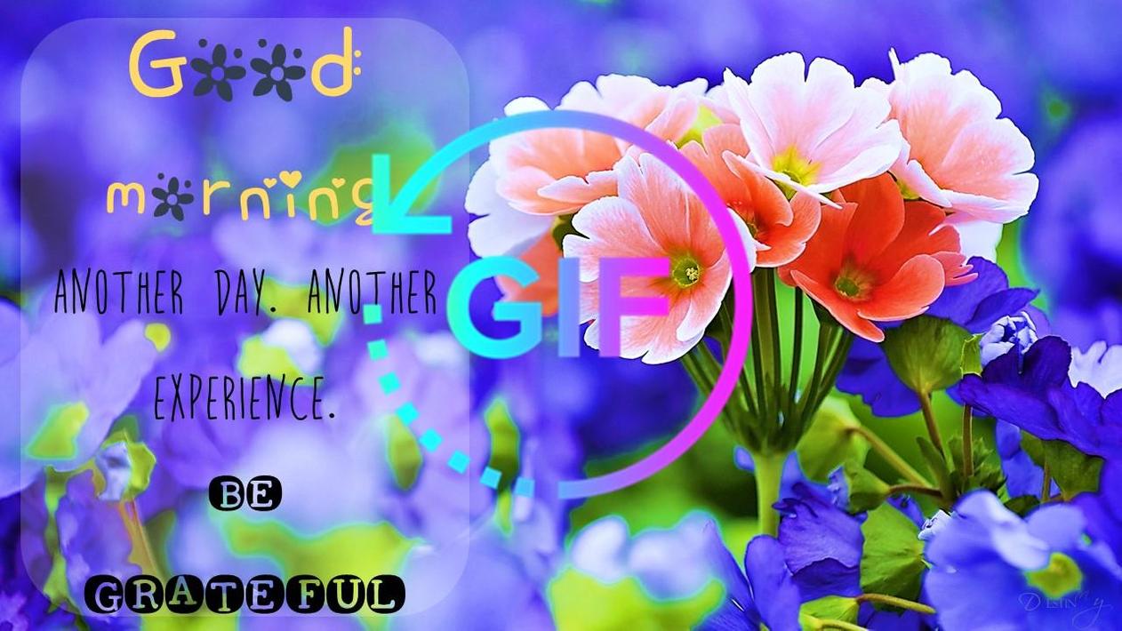 Good Morning Gif Wish Messages