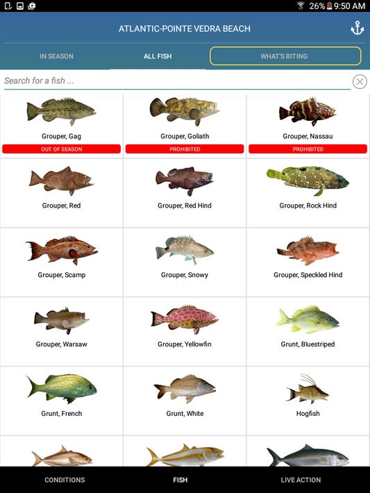 Pro Angler