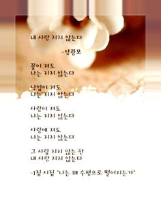 사랑의 문구,시 및 메시지, 나는 당신을 사랑합니다